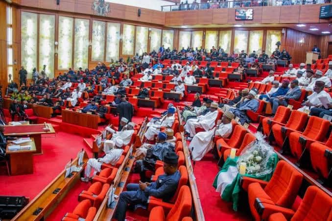 Anambra lawmaker-elect bundled from assembly