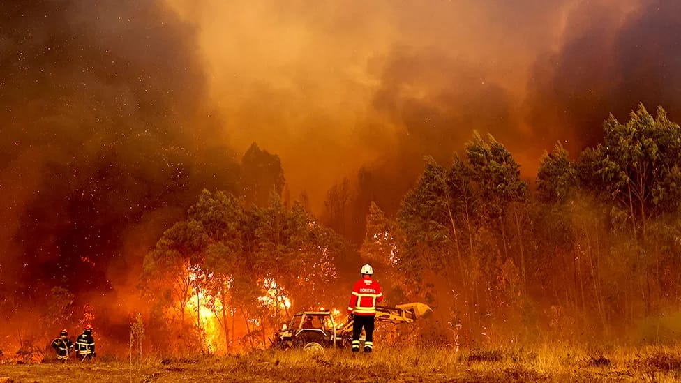 Heatwave: Firefighters tackle wildfires in Portugal